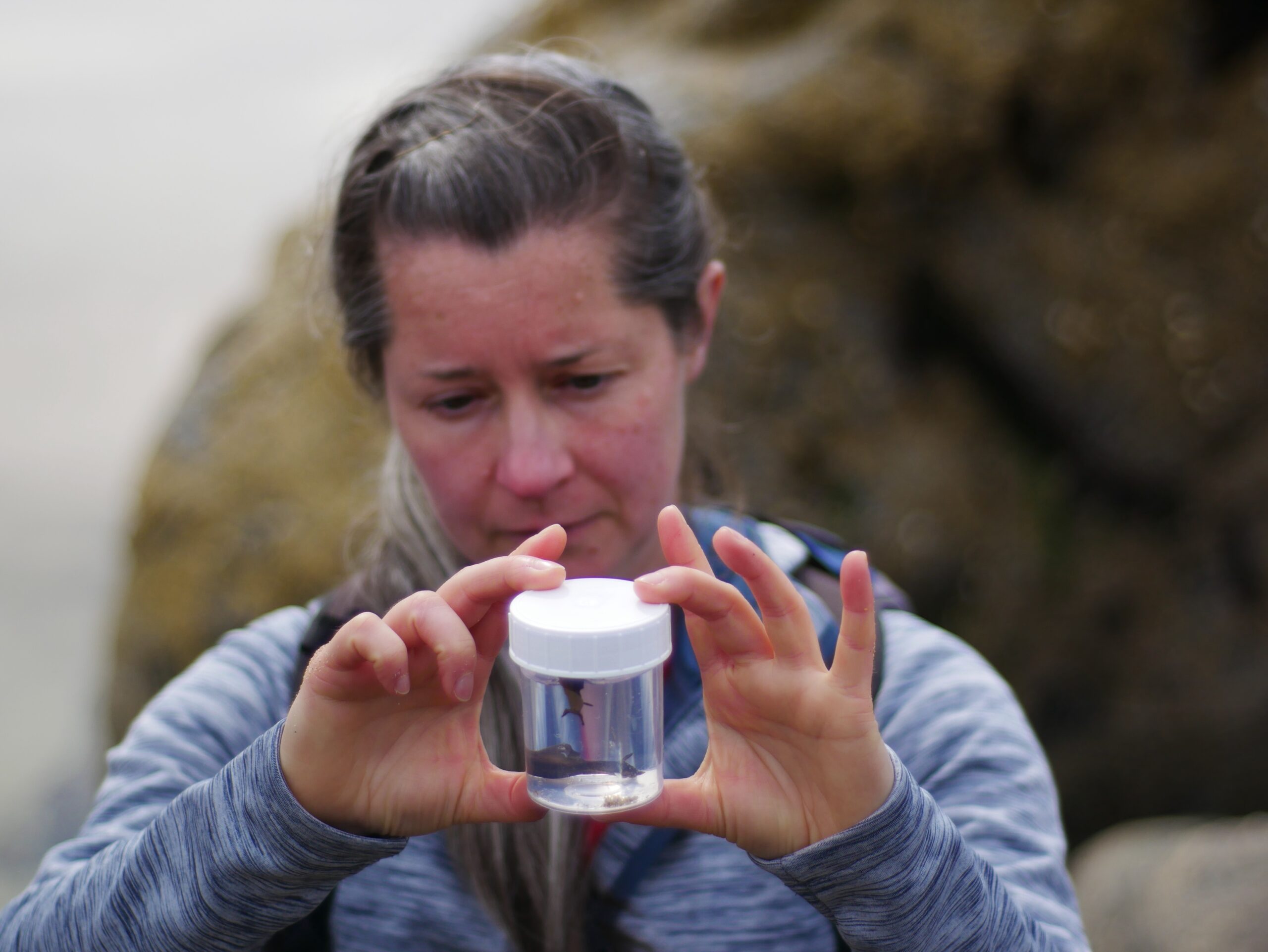 NEIF Radiocarbon Group