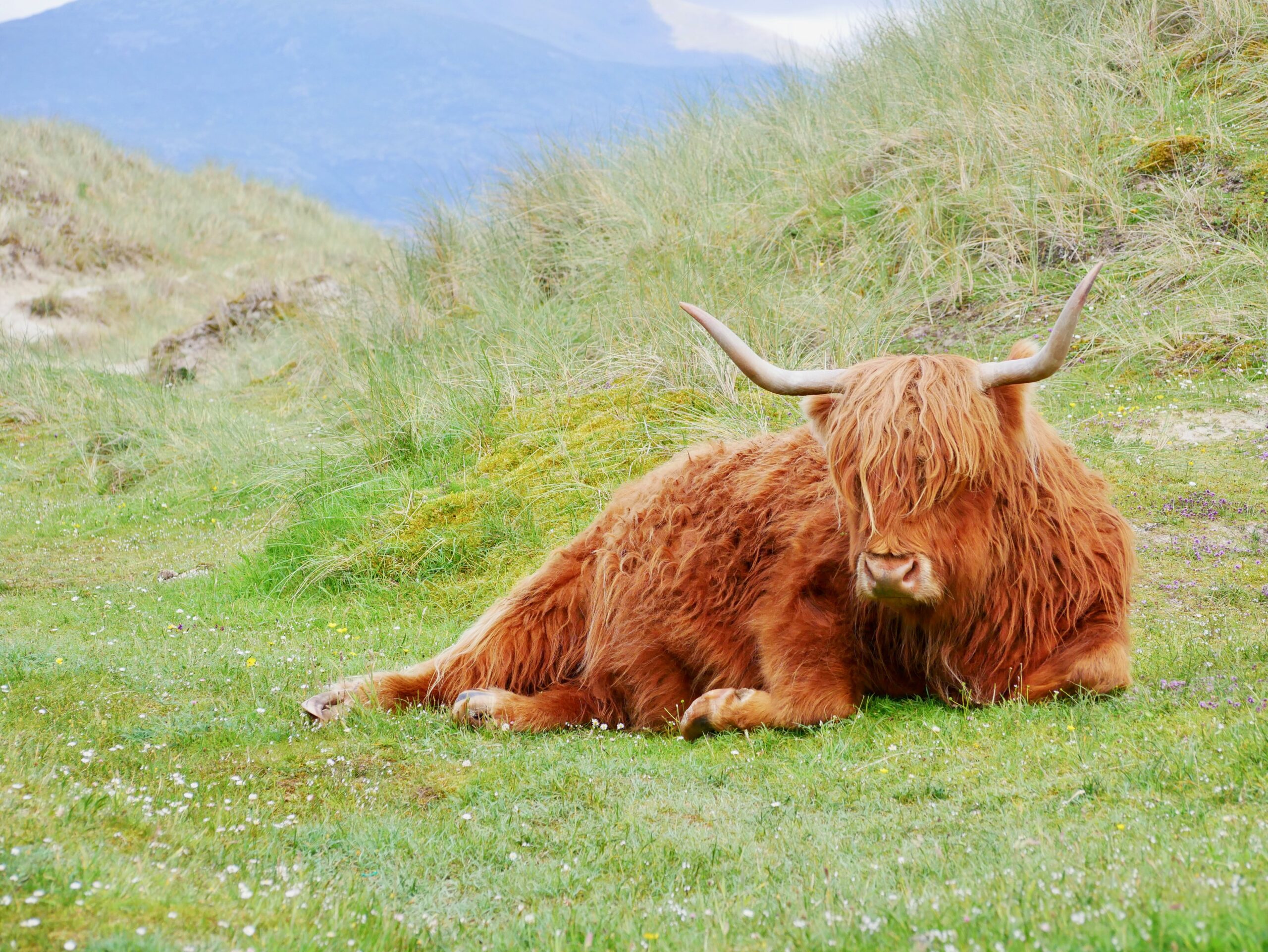 Strategic Collaborations